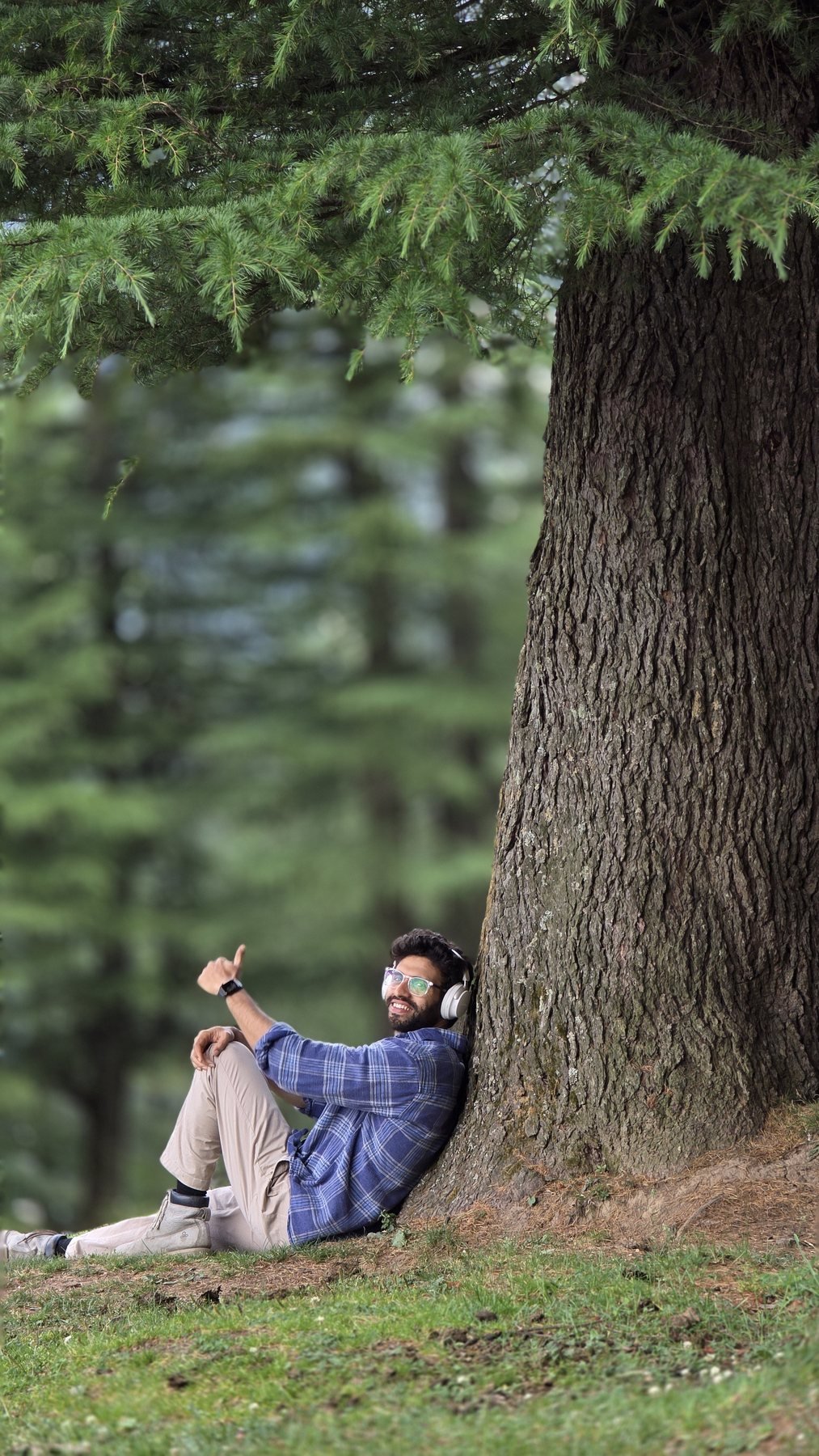 A Safar guest resting beneath a Himalayan cedar