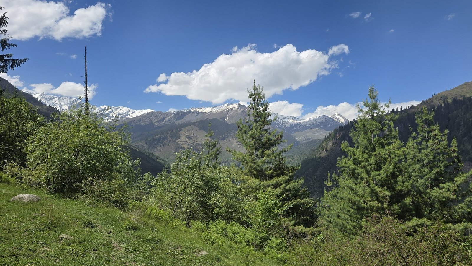 MAJACH MEADOW outing from Safar Hostel