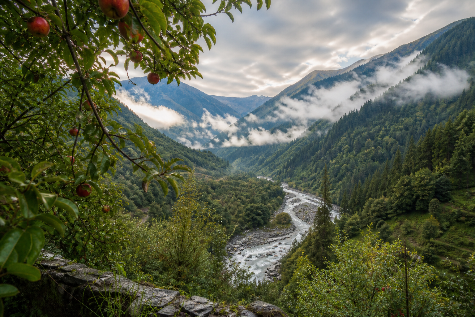 Apple trees overlooking a river and an open cloud-filled Himalayan valley near Safar Hostel
